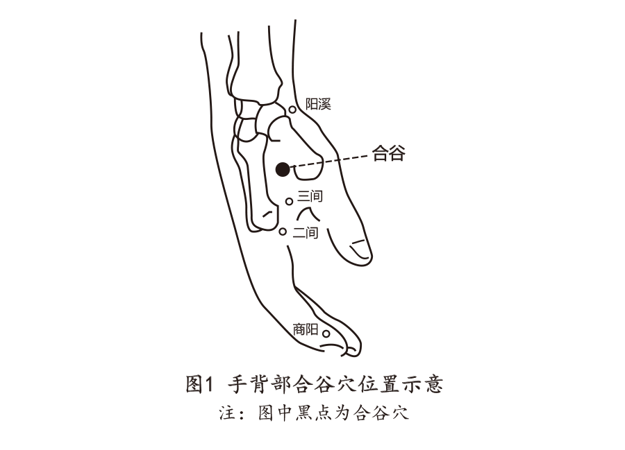 体质辨识-结果