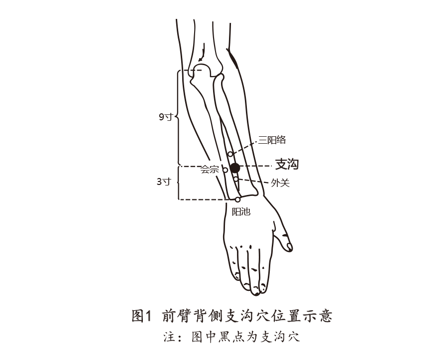 体质辨识-结果