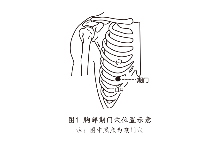 体质辨识-结果